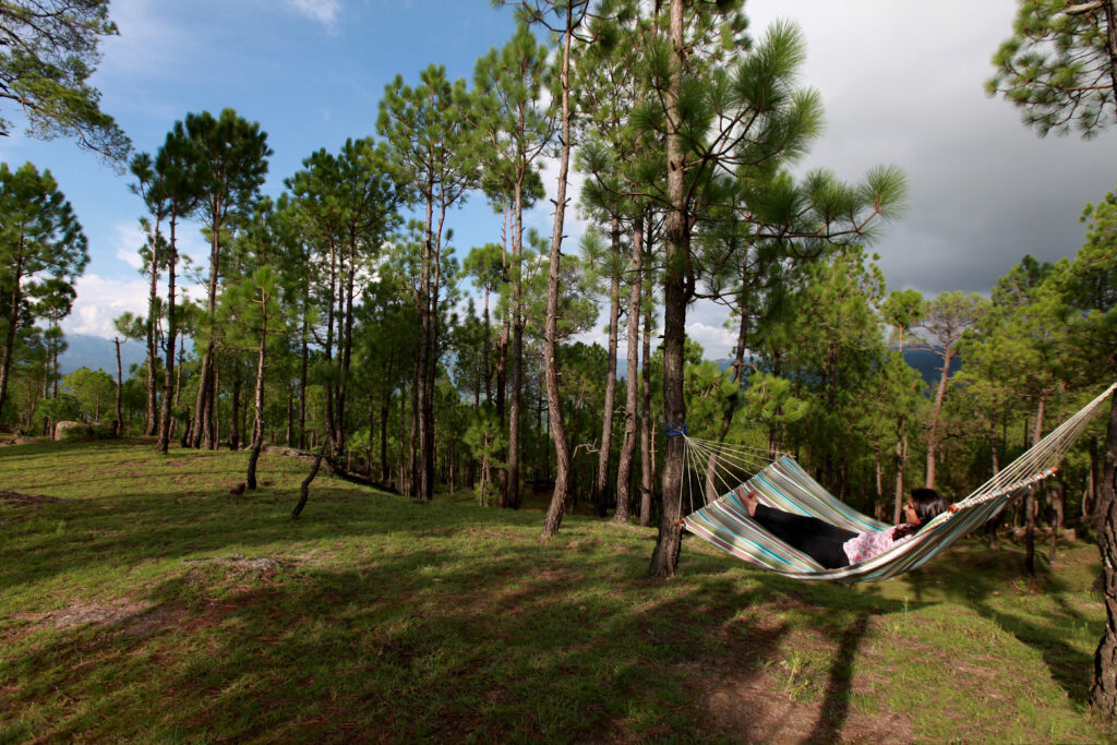 a luxury resort in ranikhet
