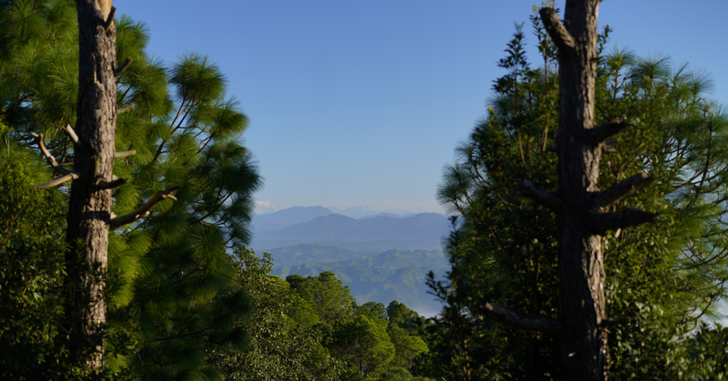 Luxury Resort in Ranikhet