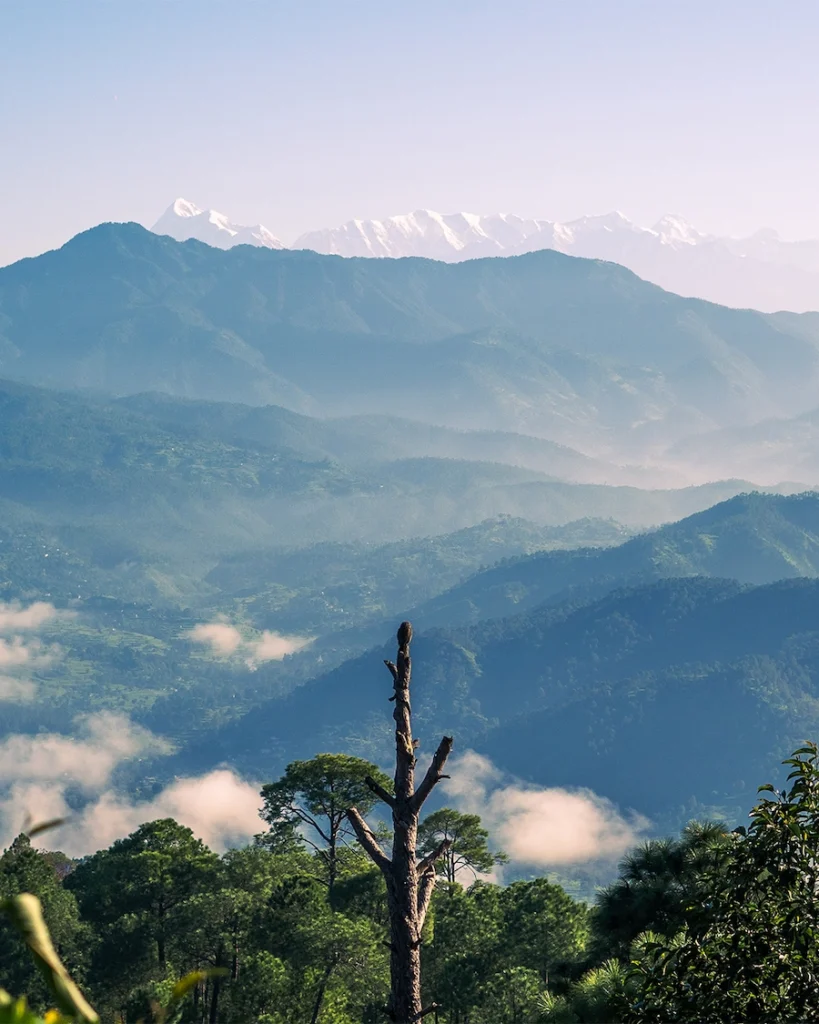 natural surroundings at Best Resort in Ranikhet